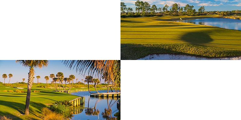 Golf Florida